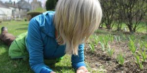 Transplanting and Managing Seedlings
