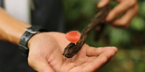 Propagation Techniques