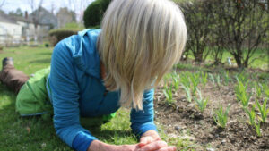 Soil Preparation and Planting the Seeds Properly